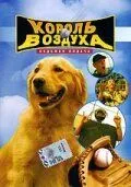 Король воздуха: Седьмая подача (2002) смотреть онлайн